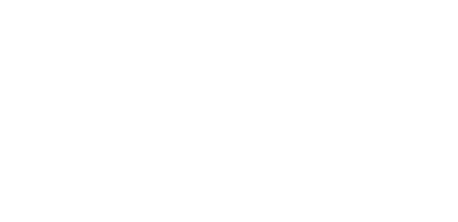 logo de website